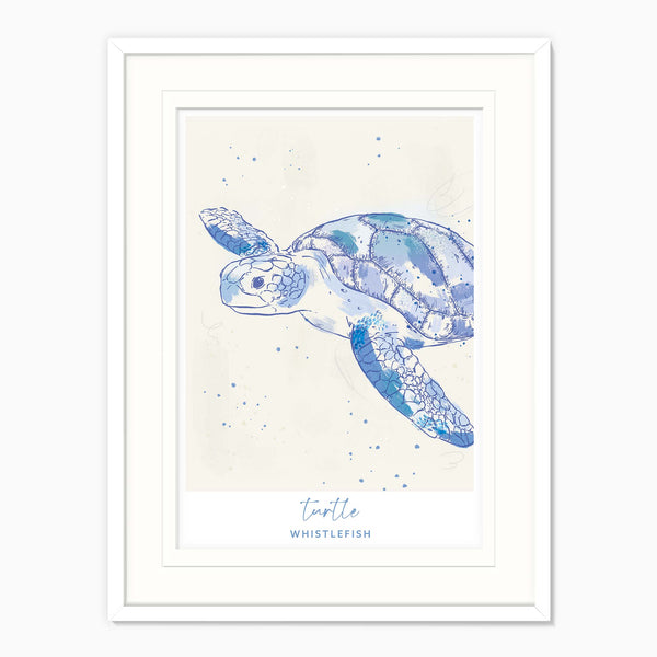 Framed Print-WF041293F - Turtle Large Framed Print-Whistlefish