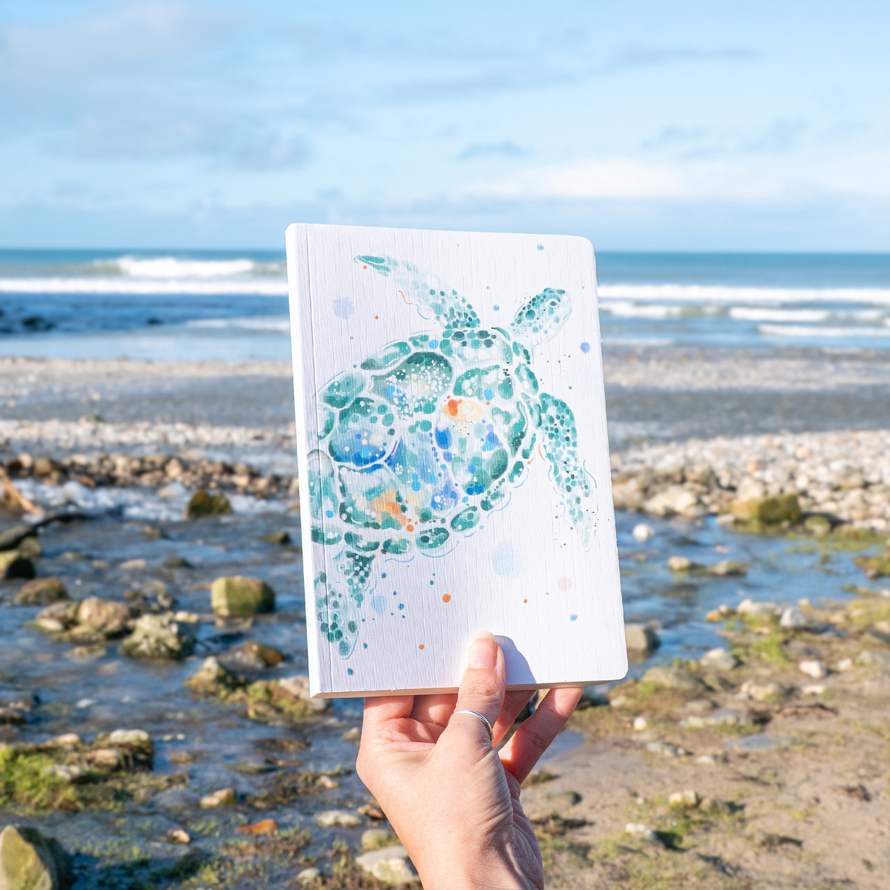 Notebook-WNB64 - Turtle Notebook-Whistlefish