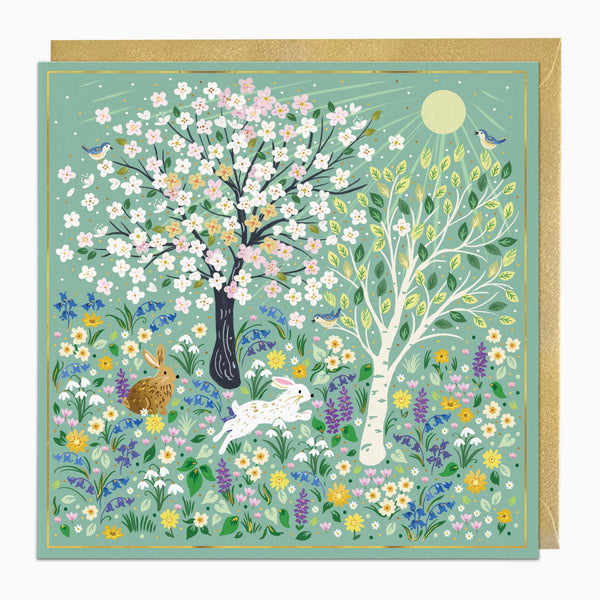 Greeting Card-H041 - Wild Spring Blossom Card-Whistlefish