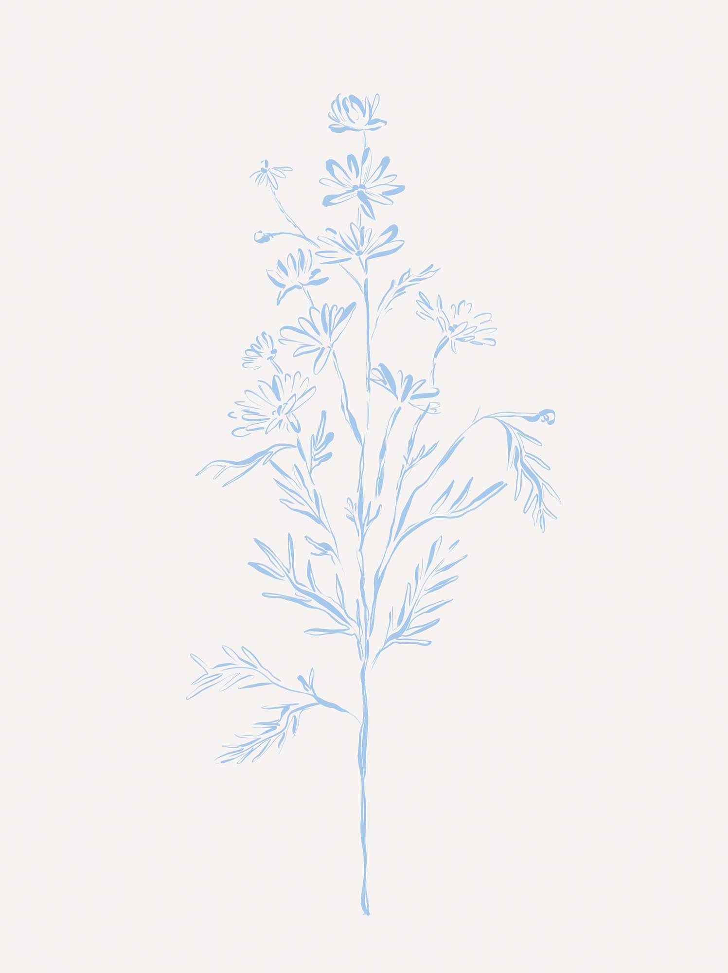 Framed Print-WF1208F - Wildflower Stem Framed Print-Whistlefish