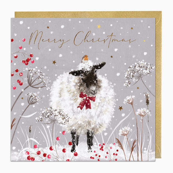 ZA202 - Sheep In The Snow Christmas Card