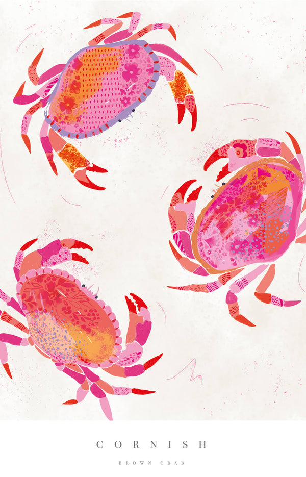 Print-WF657P - Cornish Crabs Large Art Print-Hannah Cole